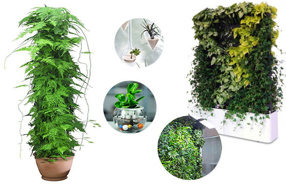 橙造一站式配套服务